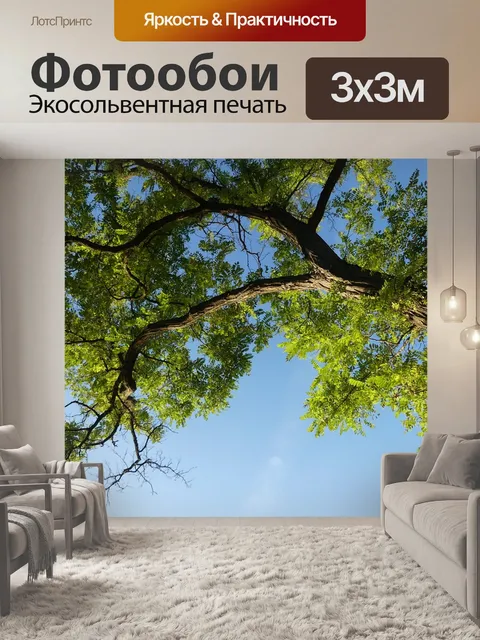 Фотообои Вуд