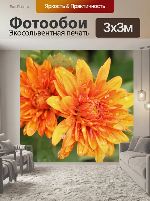 Фотообои Оранжевые хризантемы и дождь