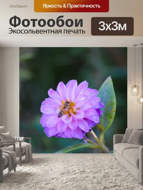 Фотообои Цветок