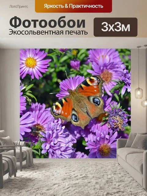 Фотообои Бабочка