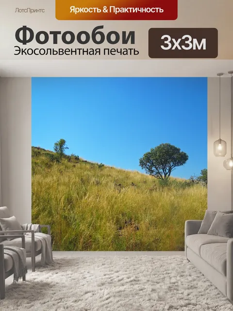 Фотообои луга и деревья, покрывающие холм