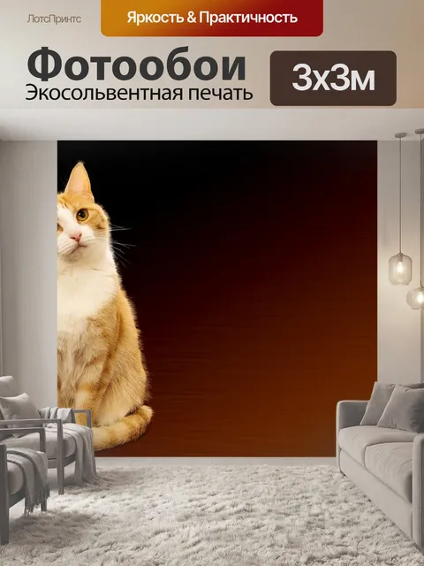 Фотообои Кот