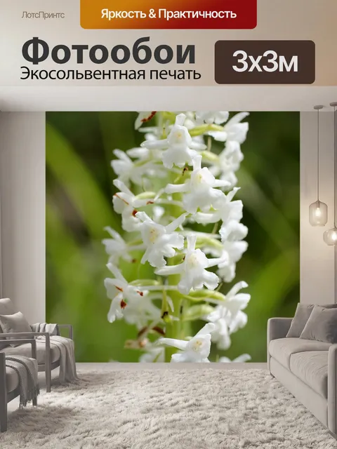 Фотообои Корень комара