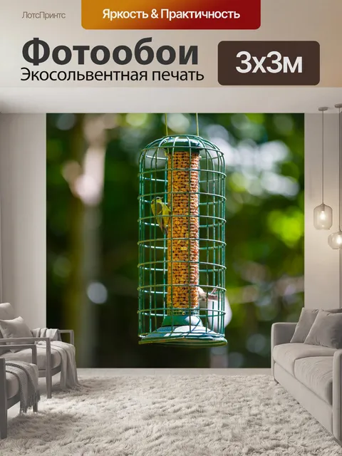 Фотообои Сад Кормушку
