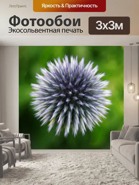 Фотообои Великий чертополох глобус