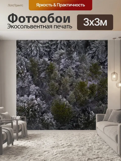 Фотообои Черный лес