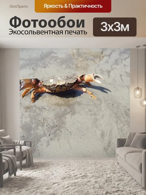Фотообои Краб