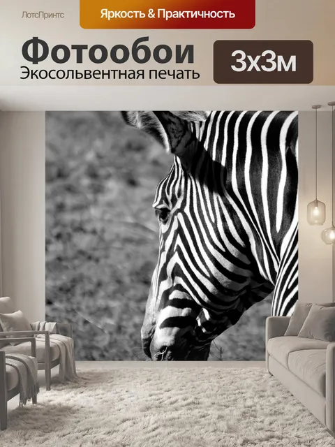 Фотообои Фон Зебры