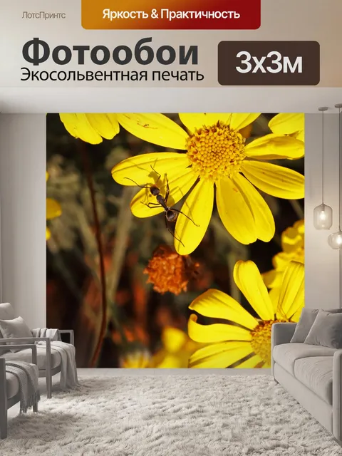 Фотообои большой черный муравей на лепестке цветк