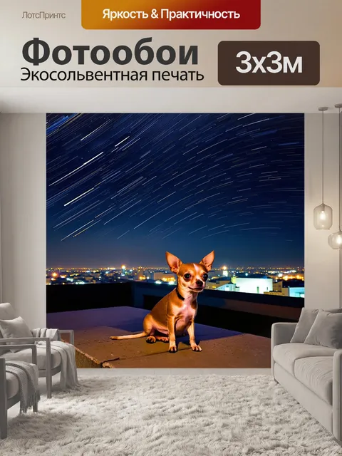 Фотообои чихуахуа, наблюдающий за звёздным небом на крыше с видом на город