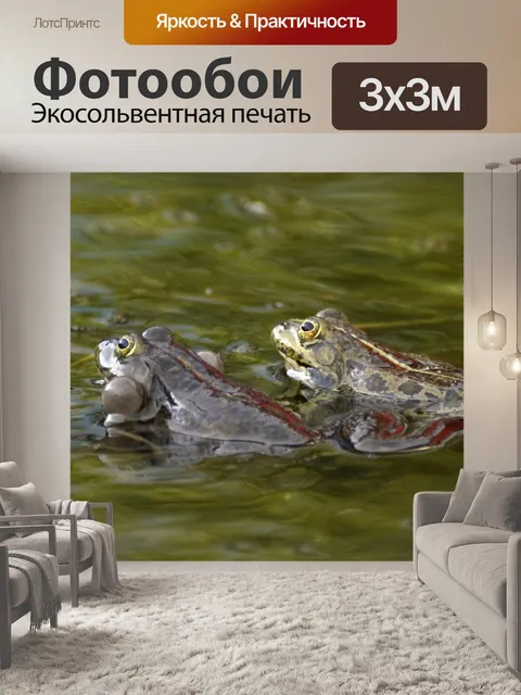 Фотообои Обыкновенная лягушка пруд зеркальное ото