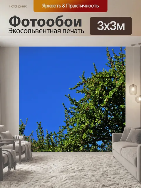 Фотообои колючие зеленое дерево