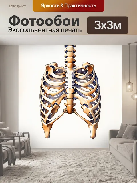 Фотообои микроскопический взгляд на анатомию молекул и тканей