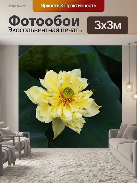 Фотообои Золотой лотос