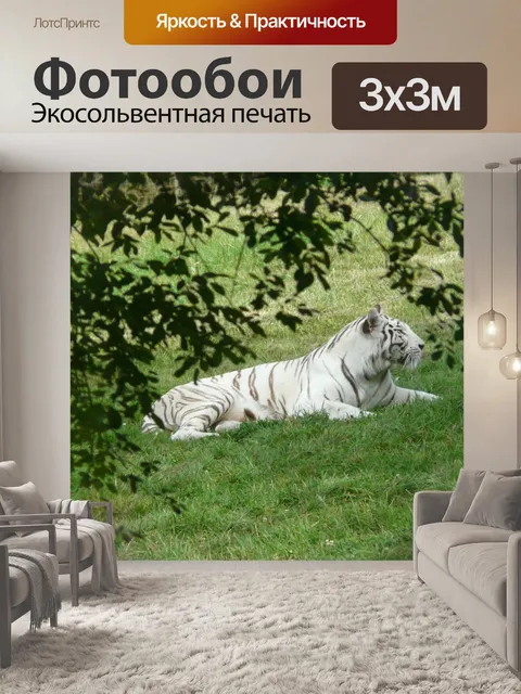 Фотообои Зоопарк