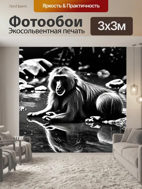 Фотообои на фоне ручья скучает старый бабуин