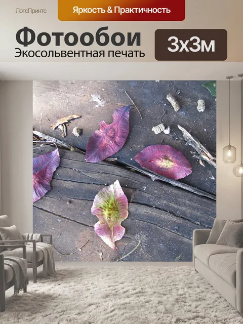 Фотообои темно-розовые цветные семечки