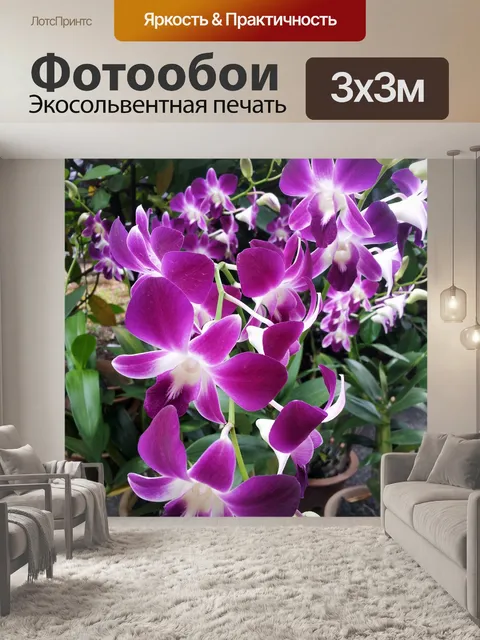 Фотообои Розовый цветок орхидеи цвести