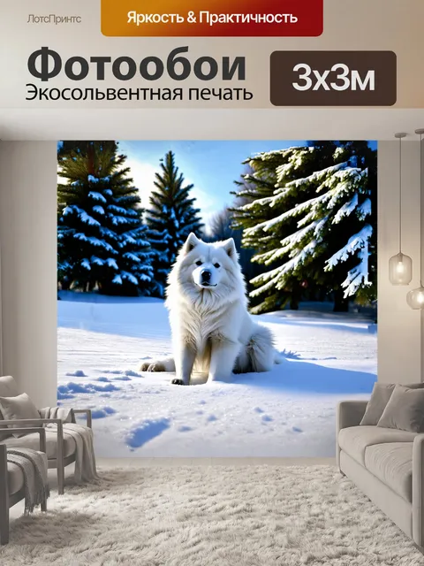 Фотообои самоед, уютно расположившийся на белоснежном снежном покрове, его пушистая шерсть сверкает на солнечном…