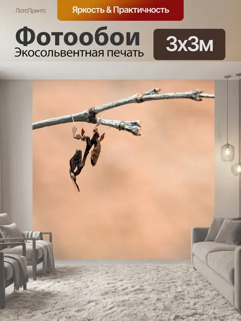 Фотообои Призрачный богомол