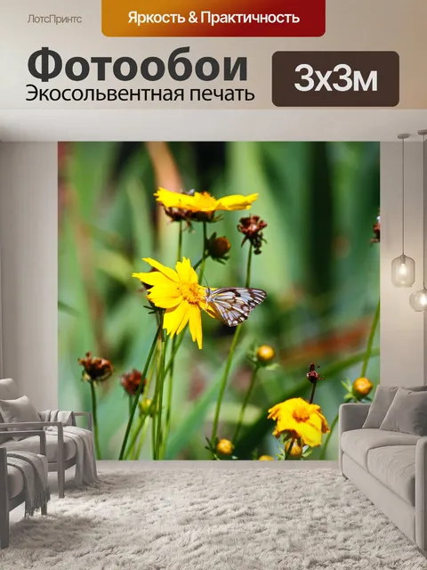 Фотообои бело-коричневая бабочка в саду