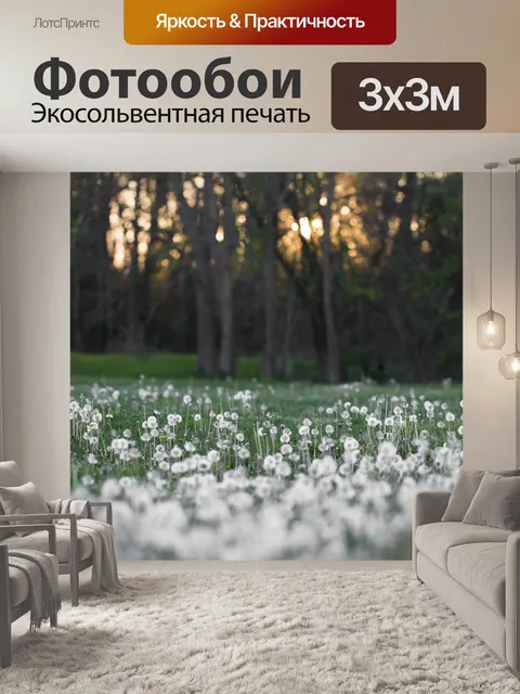 Фотообои Одуванчики