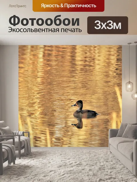 Фотообои Рисованная утка на золотом пруду