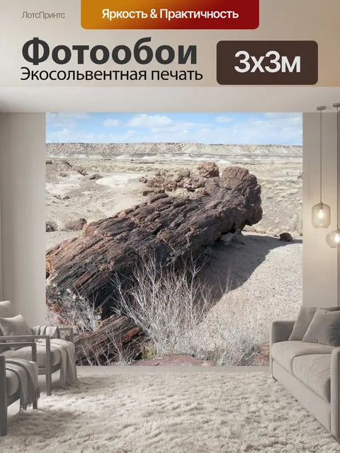 Фотообои Окаменевший лес национальный парк