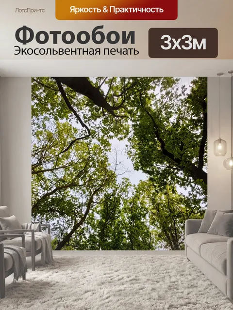 Фотообои Деревья вид снизу
