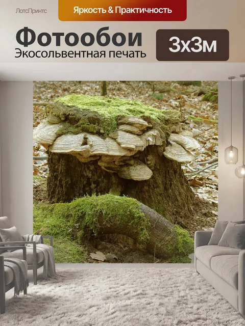 Фотообои Пень