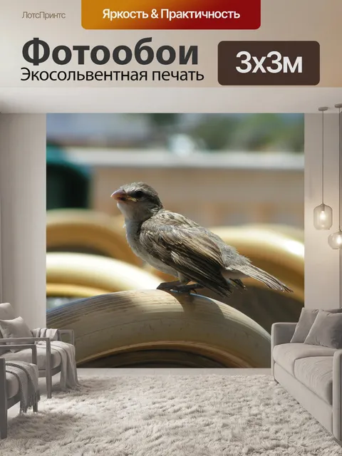 Фотообои Птица