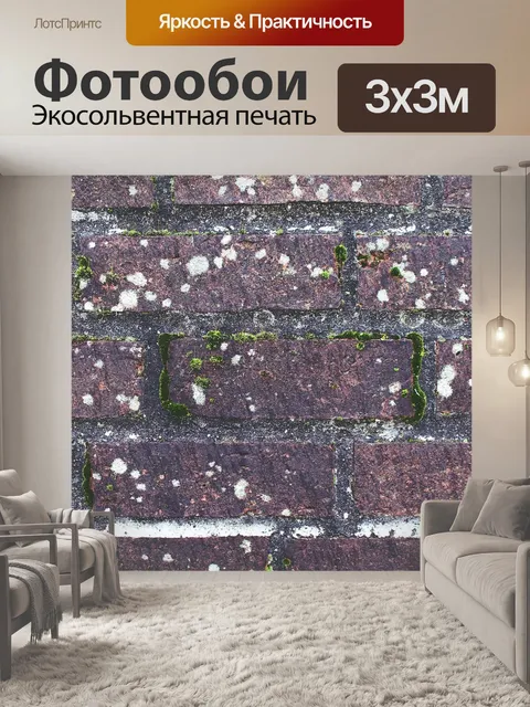 Фотообои Стена