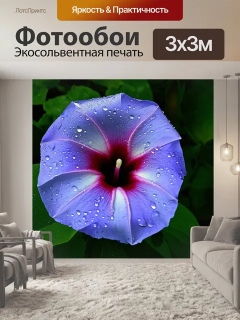 Фотообои макросъемка цветка утренней славы с детализированными текстурами лепестков и близким планом капель