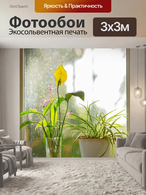 Фотообои Окно