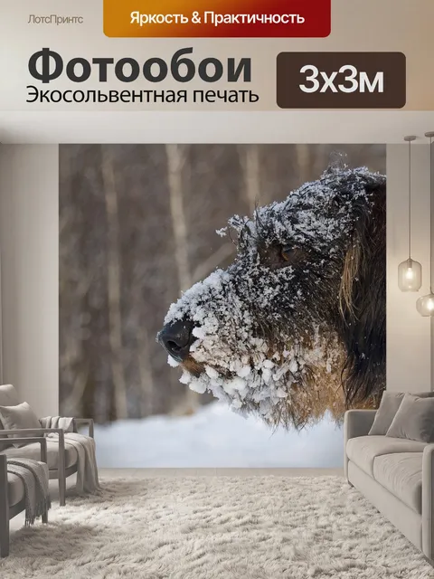 Фотообои Собака