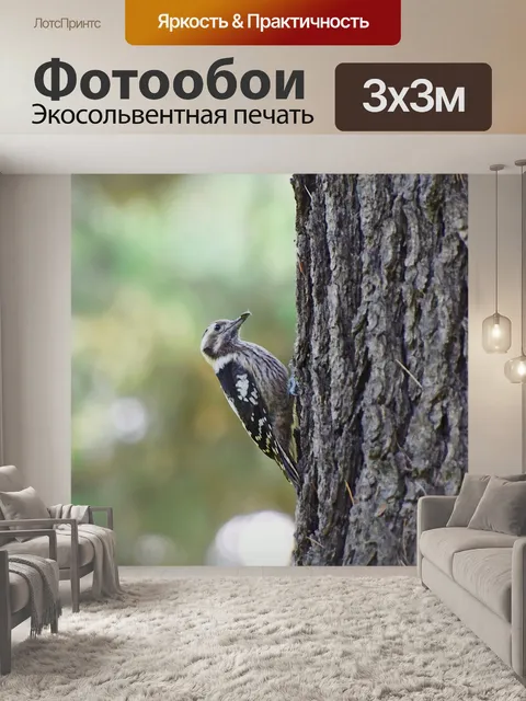 Фотообои Птица