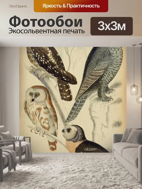 Фотообои Сова филин винтаж арт