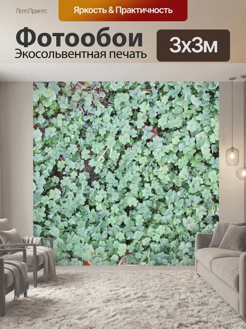 Фотообои Клевер патч Текстура 2