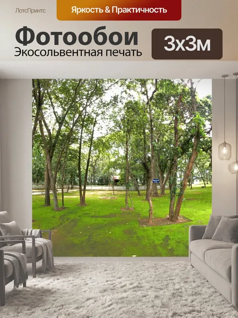 Фотообои лесные деревья пни и мох