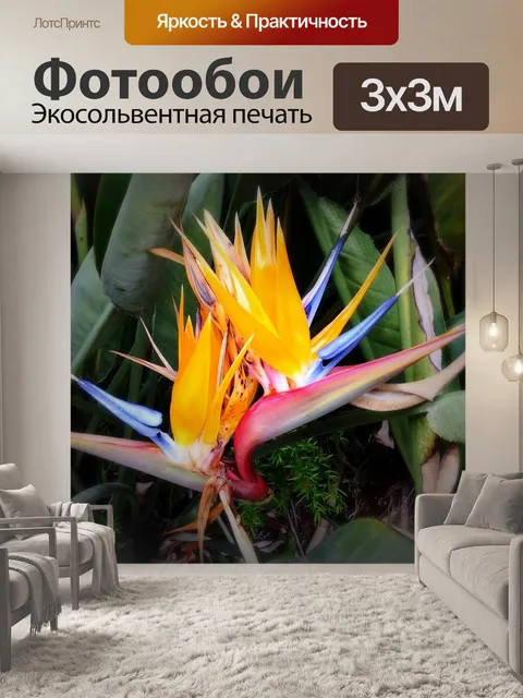 Фотообои Райская птица
