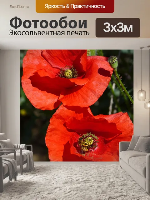 Фотообои Мак