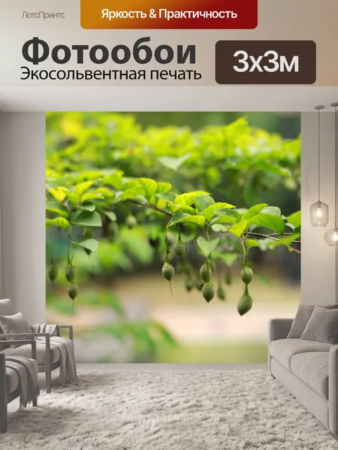 Фотообои Фрукты