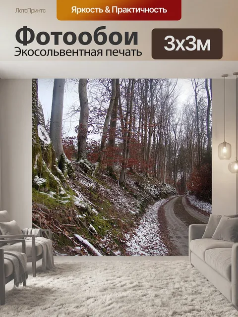 Фотообои Путь