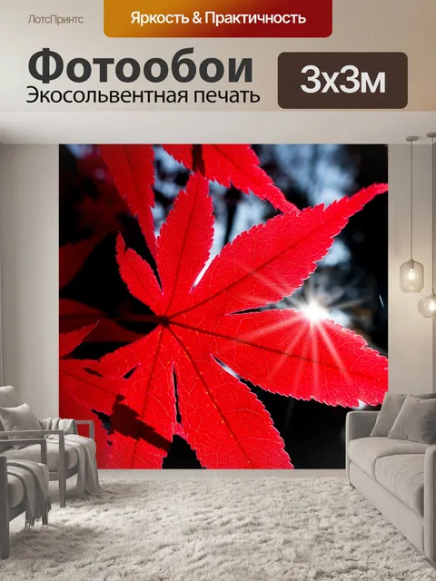 Фотообои Клен