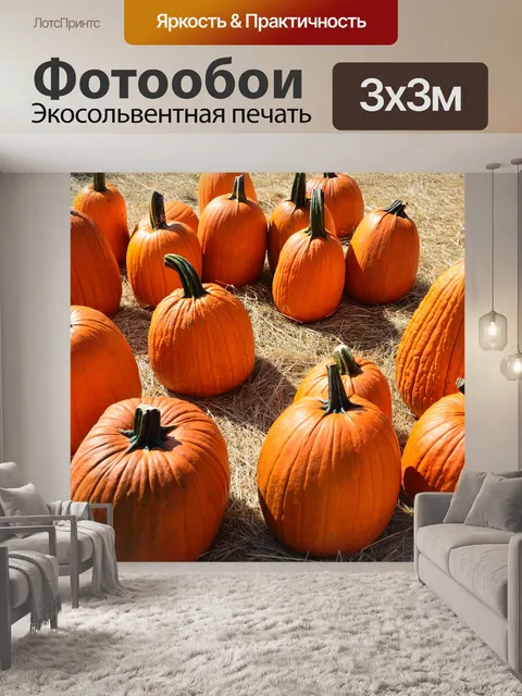 Фотообои Тыквы для продажи