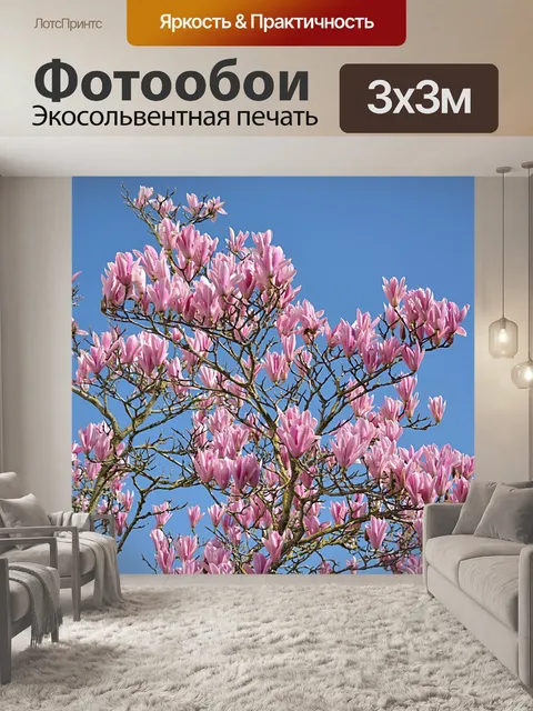 Фотообои Магнолии