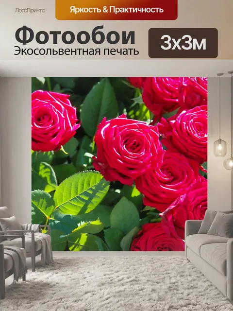 Фотообои Розы