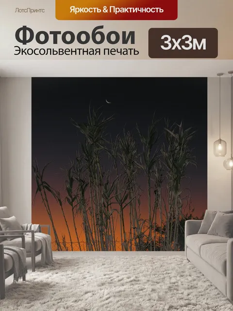 Фотообои Луна