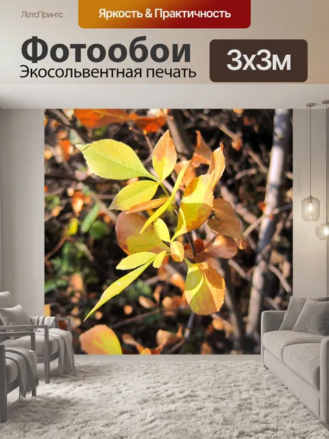 Фотообои желтые и коричневые листья