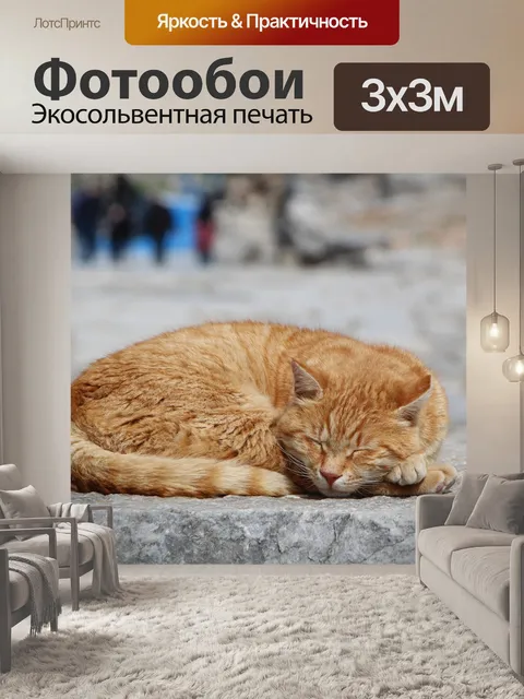 Фотообои Кошка